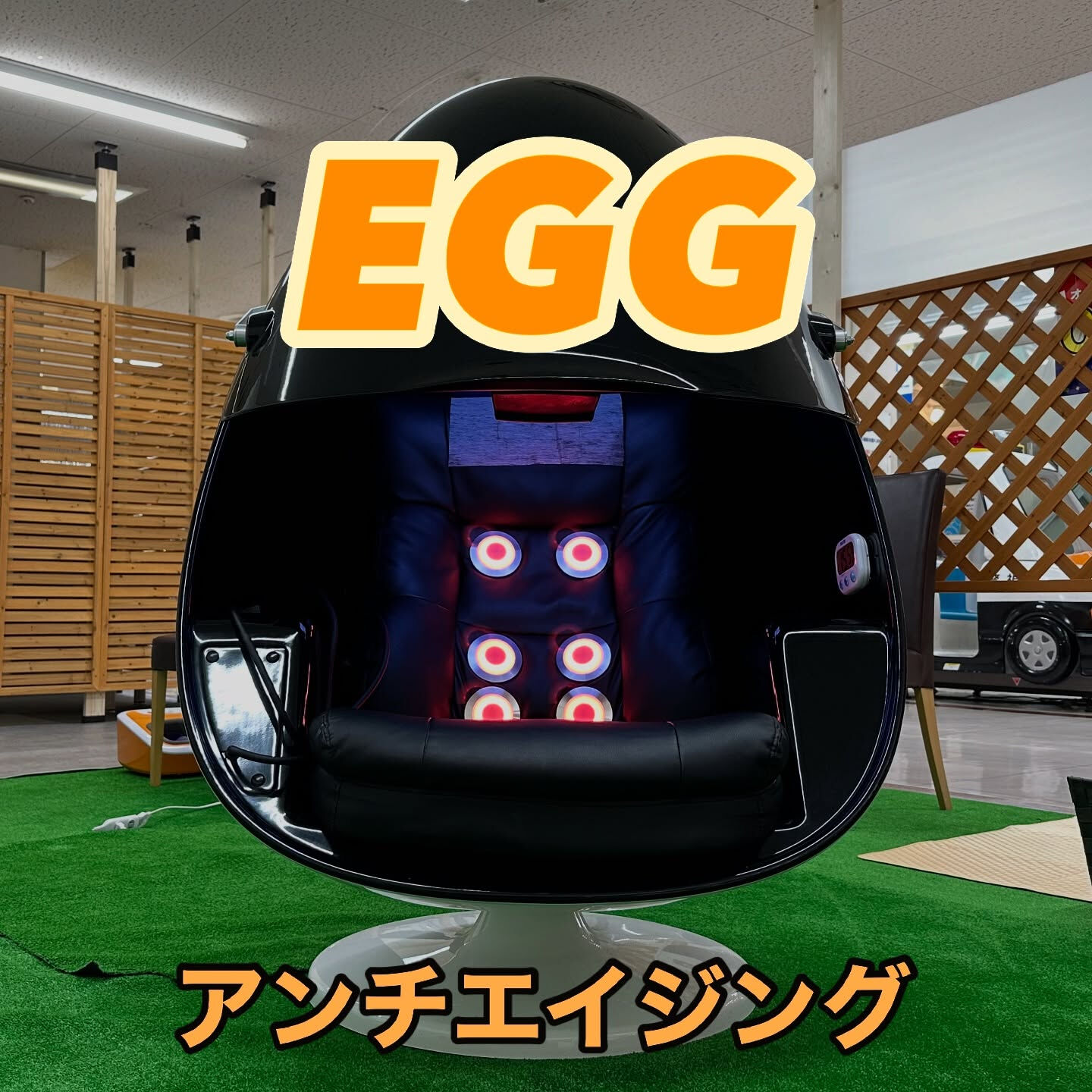 こんにちは！