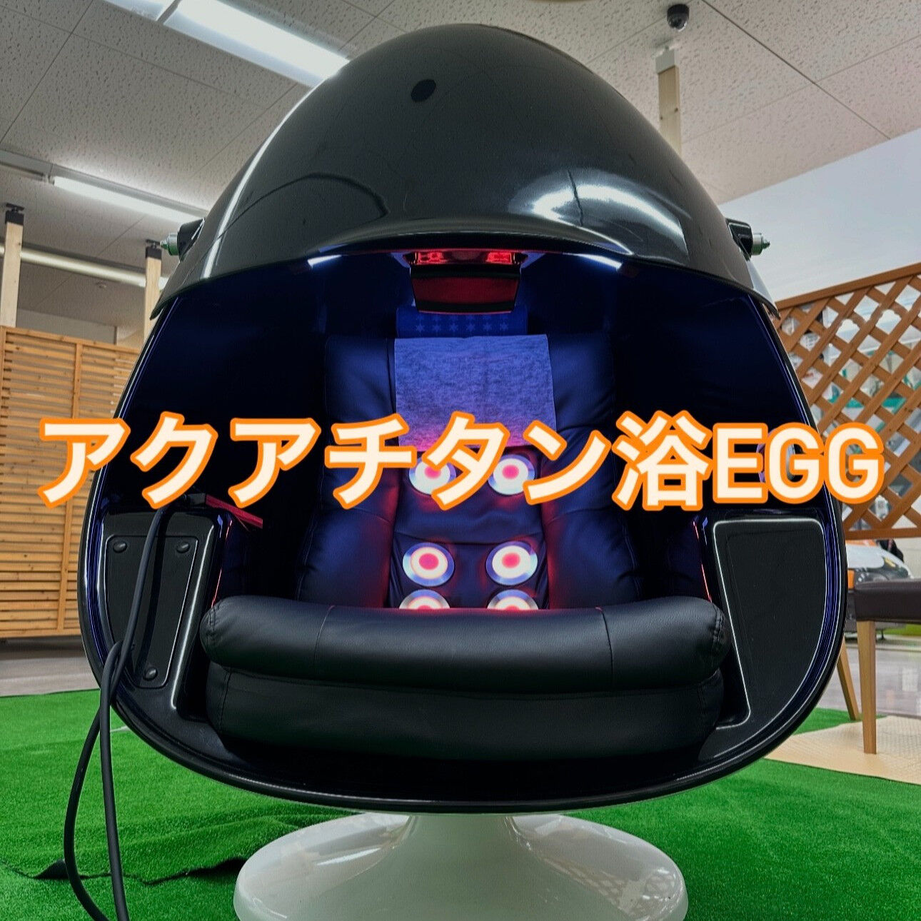 こんにちは！