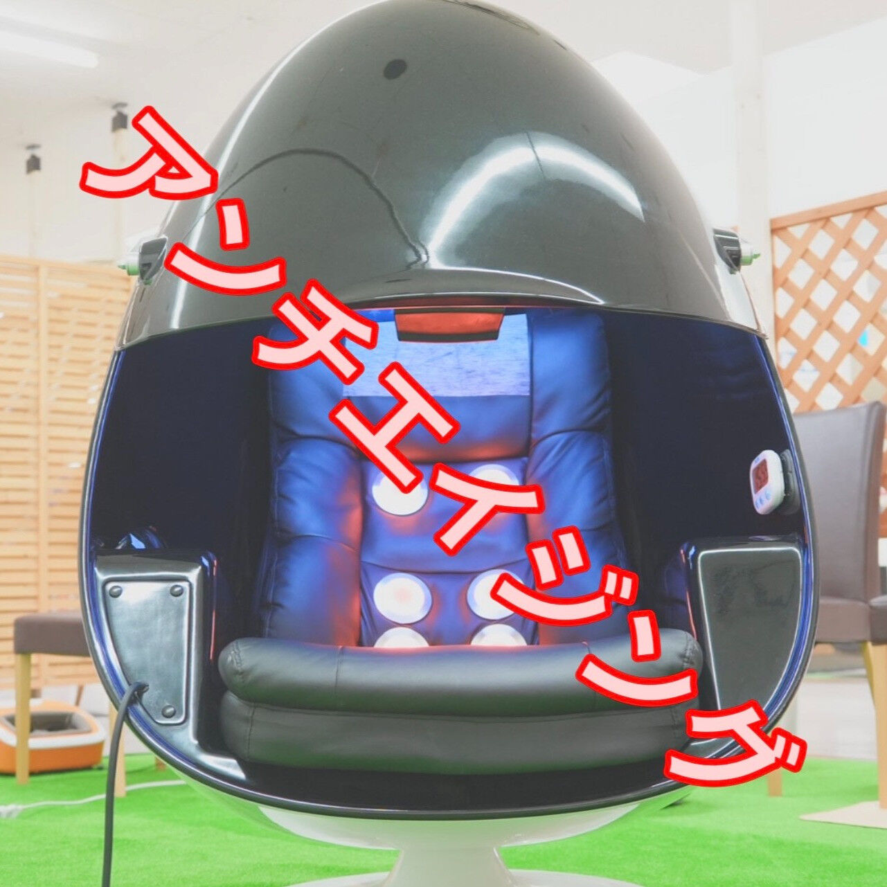 こんにちは！
